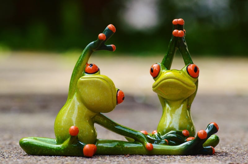 Pilates Fitness Training
